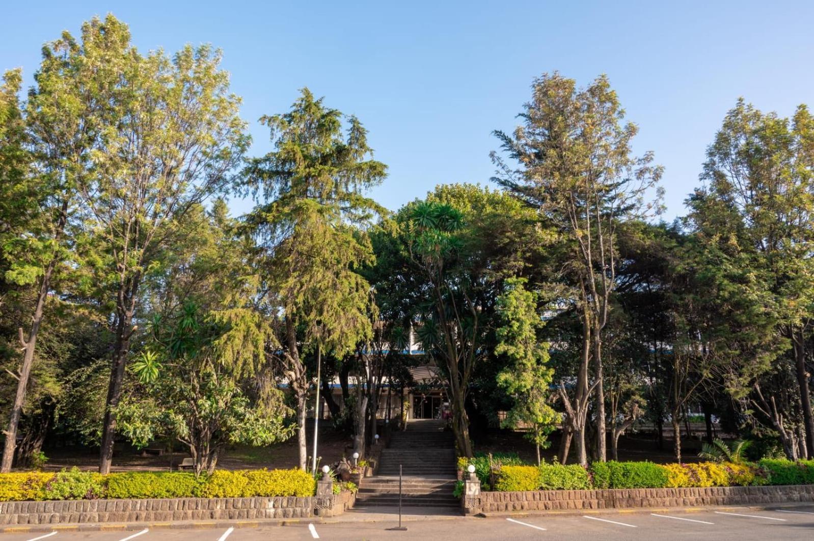 Ghion Hotel Addis Ababa Exterior photo